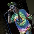 Click to enlarge GutterPunk - Professional Concert Photography